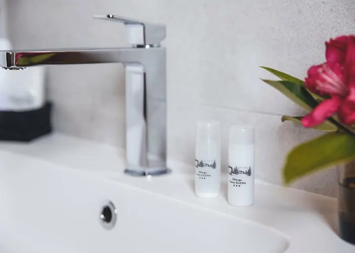 Πανσιόν Garni Elena Losone