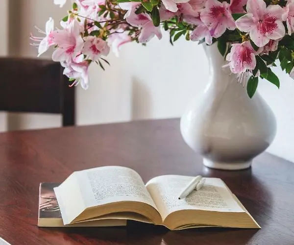 Garni Elena Πανσιόν Losone