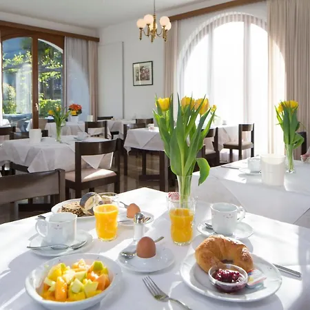 Garni Elena 3* Losone