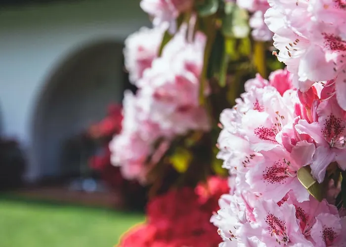 加尼艾琳娜酒店 3* 卢松